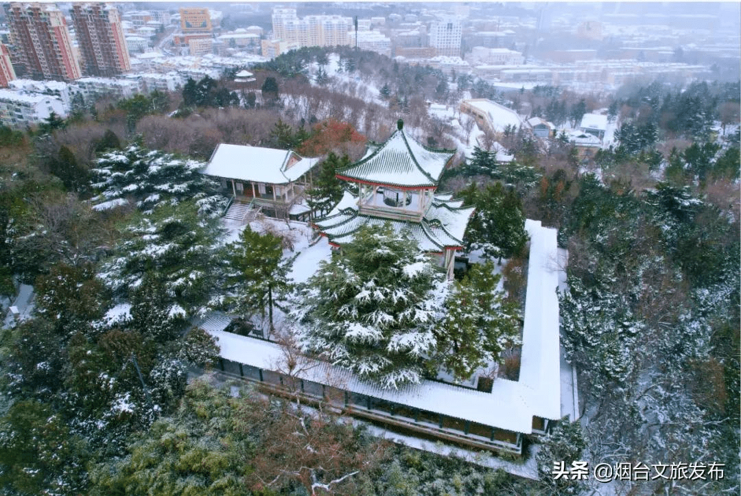 阿雅|雪?雪?雪?雪?雪?！烟台雪景大片海量来袭！