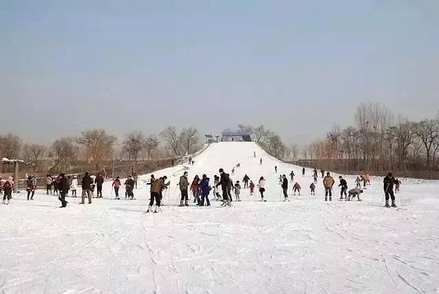 週末遊東方巨龜苑冰雪樂園試營業一起體驗冰雪樂趣