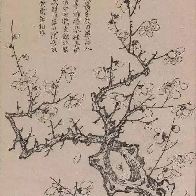 这梅花谱，太美了！_梅竹兰_画谱_黄凤池