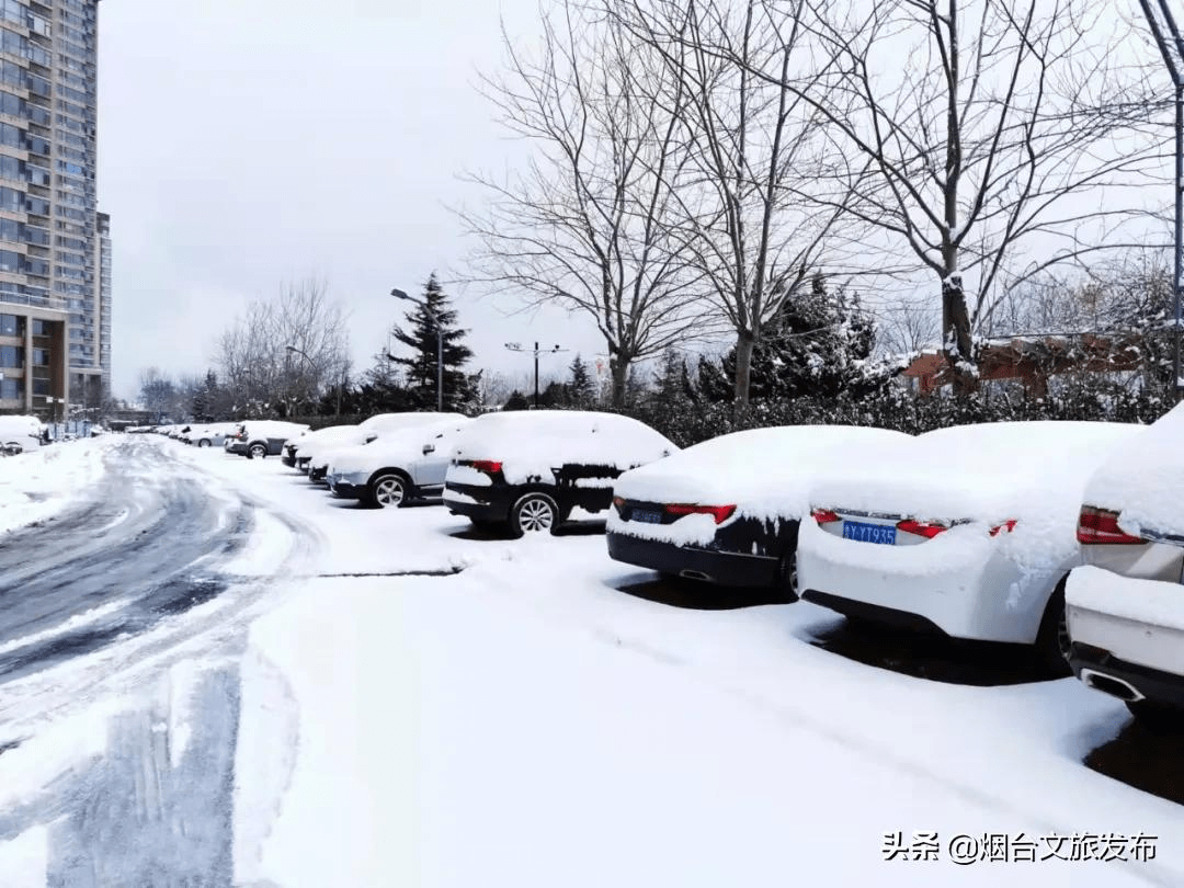 阿雅|雪?雪?雪?雪?雪?！烟台雪景大片海量来袭！