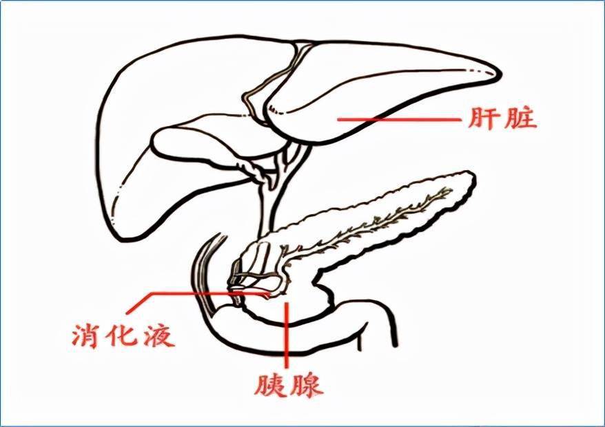 数学几何手抄报身份证图片