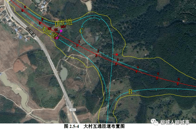 武义柳城高速公路规划图片