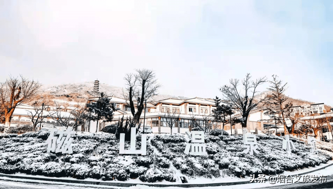 大雪|美出新高度！这样的烟台你肯定没见过！