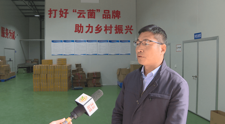 漾濞县人民政府副县长 徐志兴结合漾濞发展实际,帮扶漾濞食用菌种植