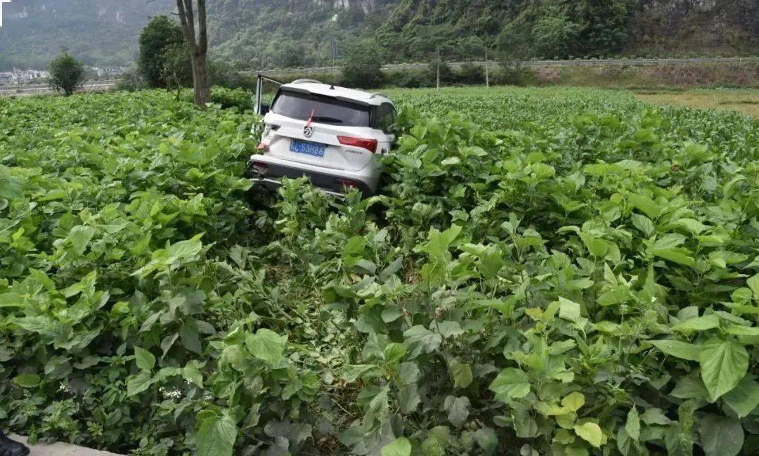 靖西化峒发生一起车祸小车和大客车翻下路坎