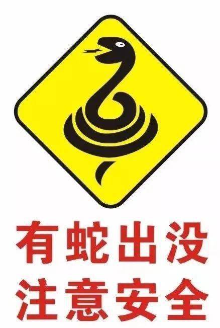 冬季仍有蛇出没要小心