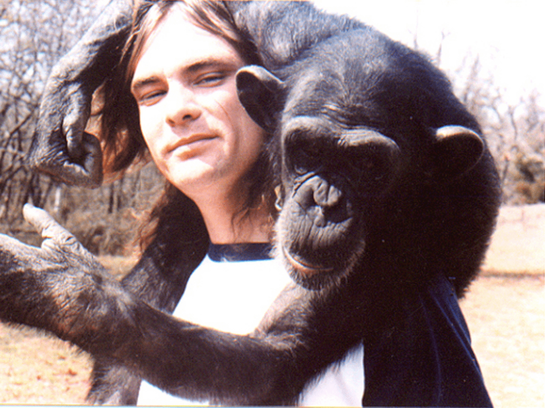 挑战人伦,打破底线,这高分好片竟然是真人真事_尼姆_黑猩猩_赫伯特