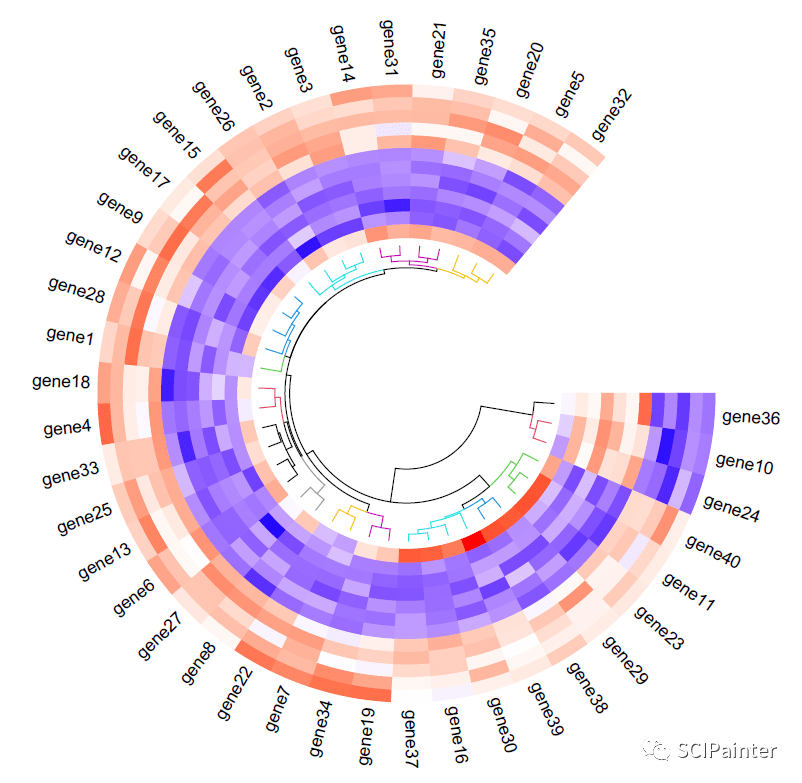 热图也开始“内卷”——环形热图如何绘制？_circos_side_dend