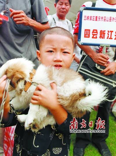 刘元祥和妻子纪万军开着一家面条作坊,由于思念家乡,他们给自家的面条