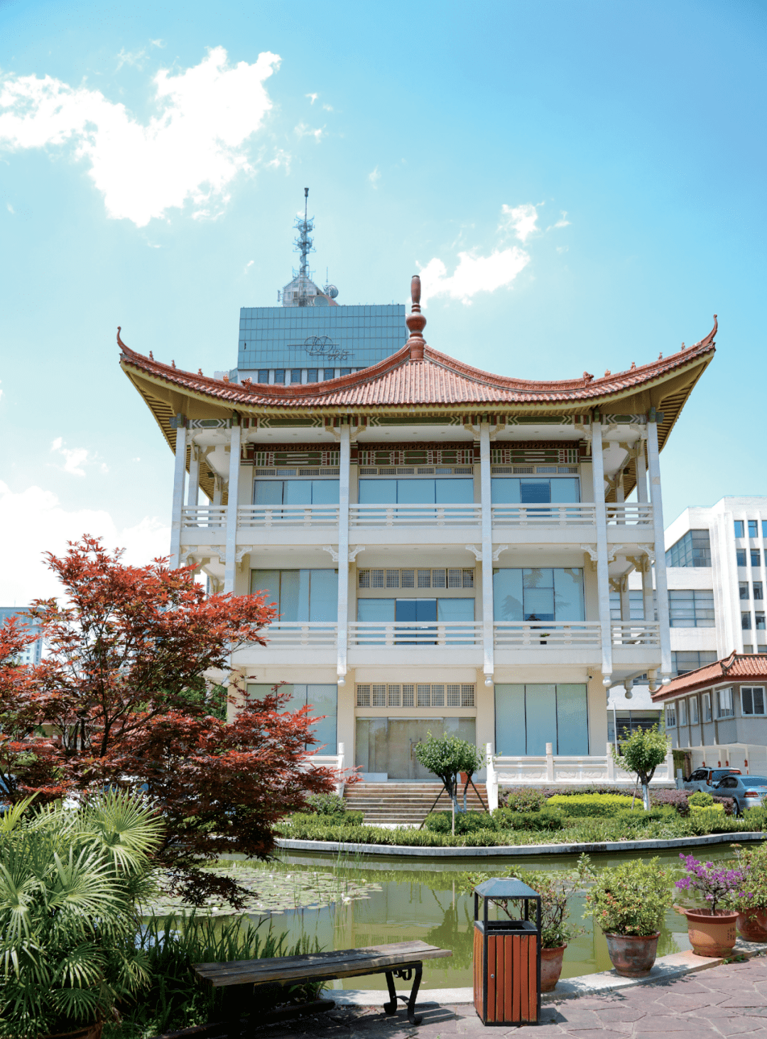 芳華正茂盤龍如歌中日友誼象徵昆明61藤澤友誼館