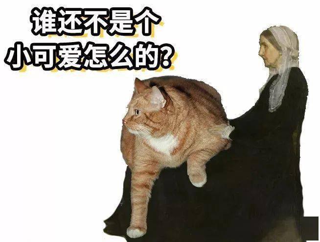 电影橘猫，怎么就成了最受欢迎的猫？