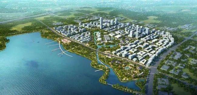 三水工业园区管委会搬大树与育种子同步高标准规划建设云东海生物港