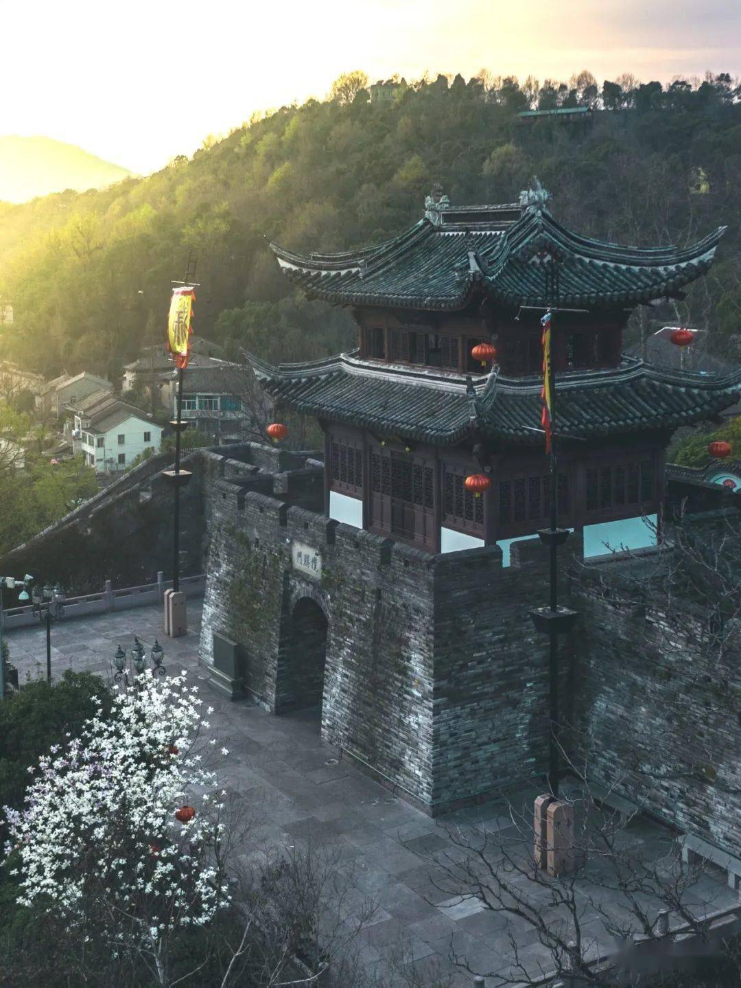 春天望江门畔的樱花上演着"秒速五厘米"的浪漫揽胜门前的白玉兰她在丛