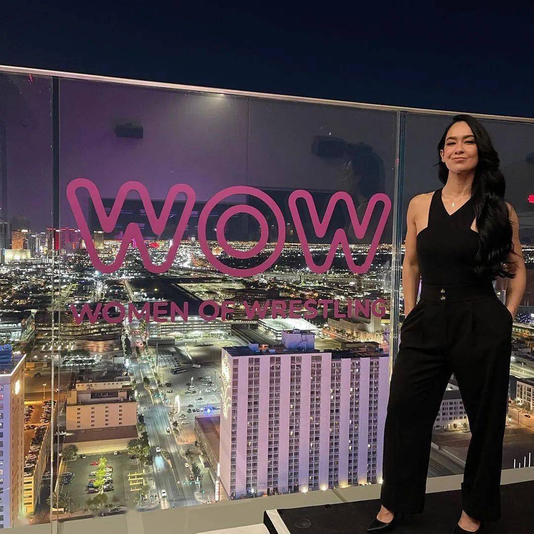 残缺的wwedivas时代最被忽视的力量aj李再次出现在大众视野中