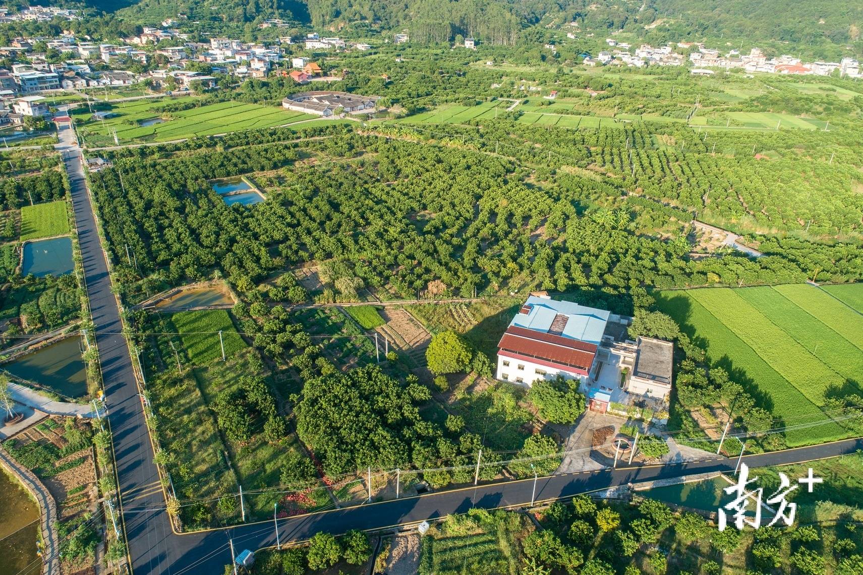 梅县石扇火烧山图片