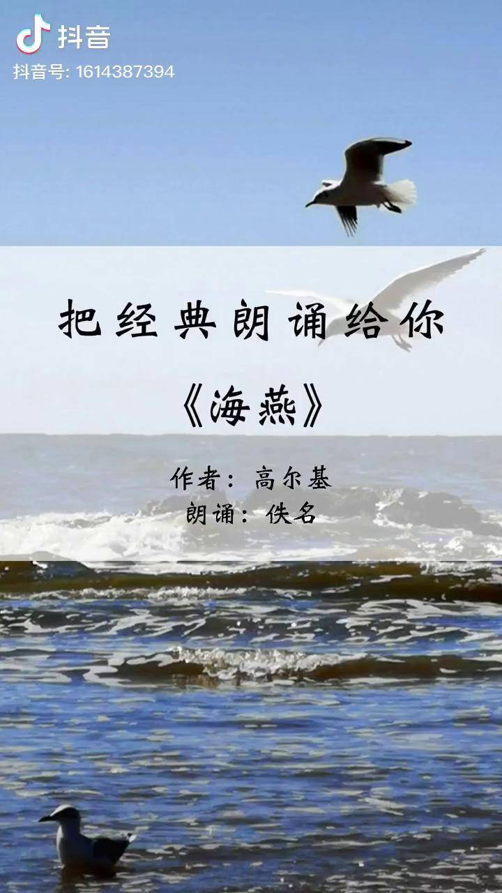 海燕朗诵音频图片