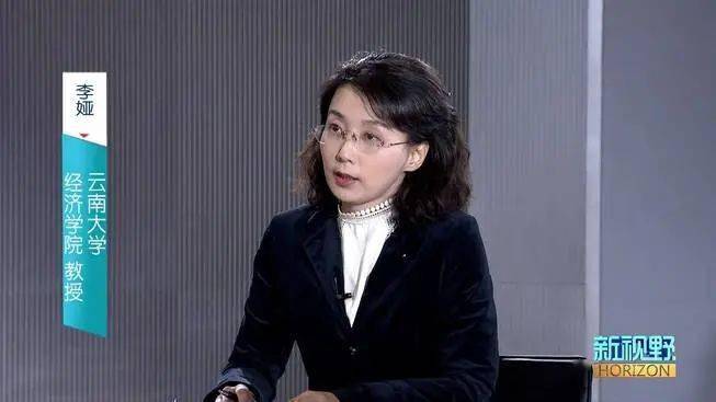 云南大学经济学院 教授 李娅"目前整个云南省要畅通内循环,还应立足