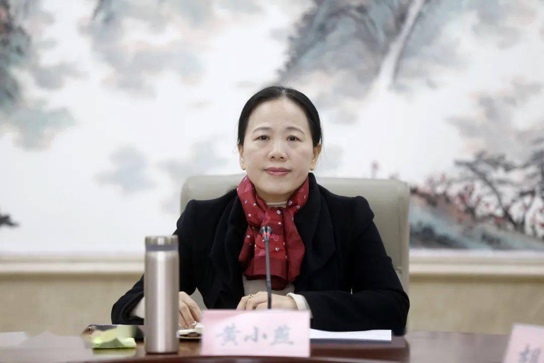 区委书记黄小燕出席会议并讲话,区委常委,区政府副区长胡海参加.