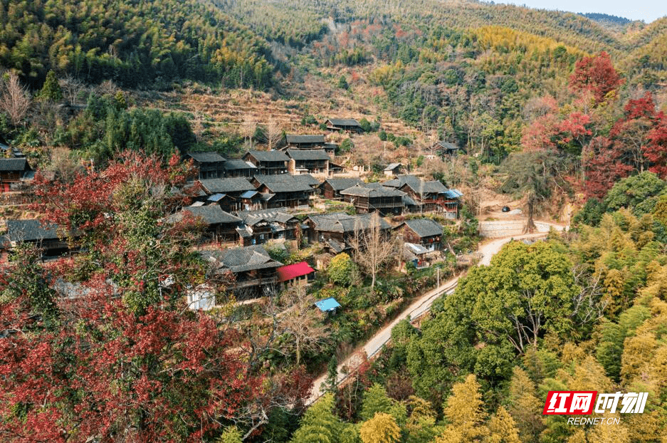 头村|东安乐子冲：古山寨仿若画，枫叶红于二月花