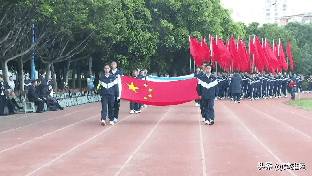 楚雄东兴中学校花图片