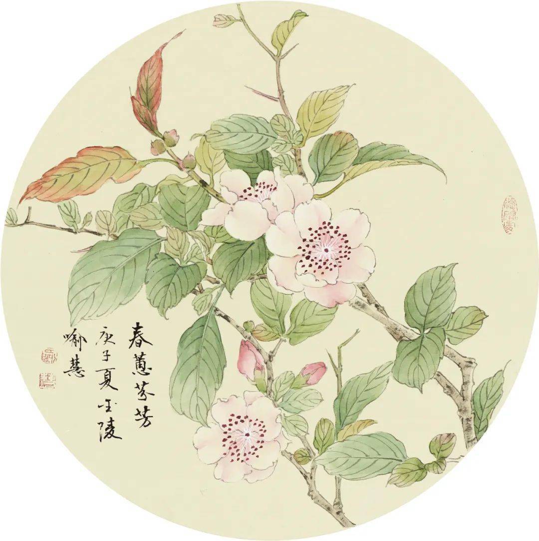 喻慧工笔精品花鸟小品20幅!_cm_作品_视频