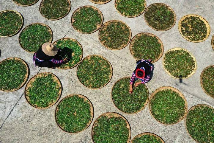 节气|今日冬至：漫漫冬夜，烹雪煎茶，不枉人间百年｜草地·二十四节气