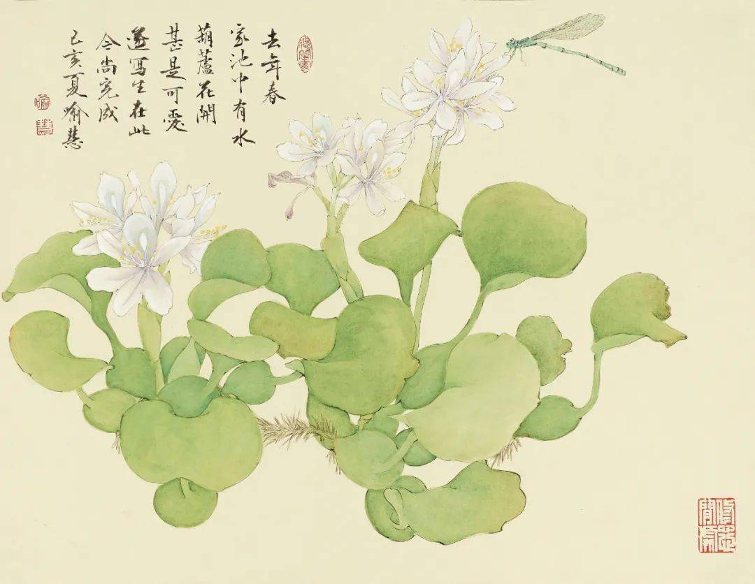 喻慧工笔精品花鸟小品20幅!_cm_作品_视频