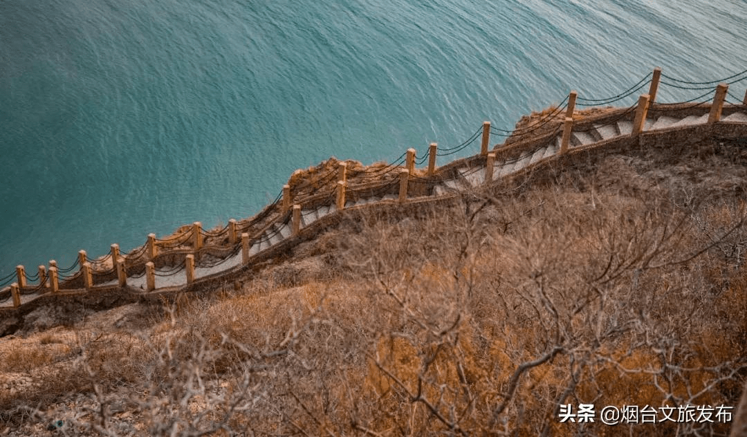 摄影|看，摄影学子眼中的蓬莱阁