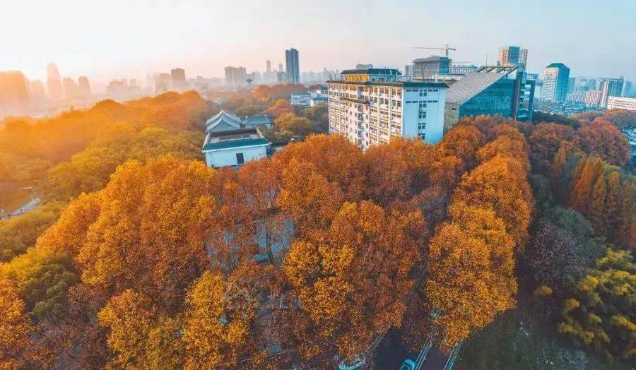 华师考点考生必看_考试_行程_桂子山