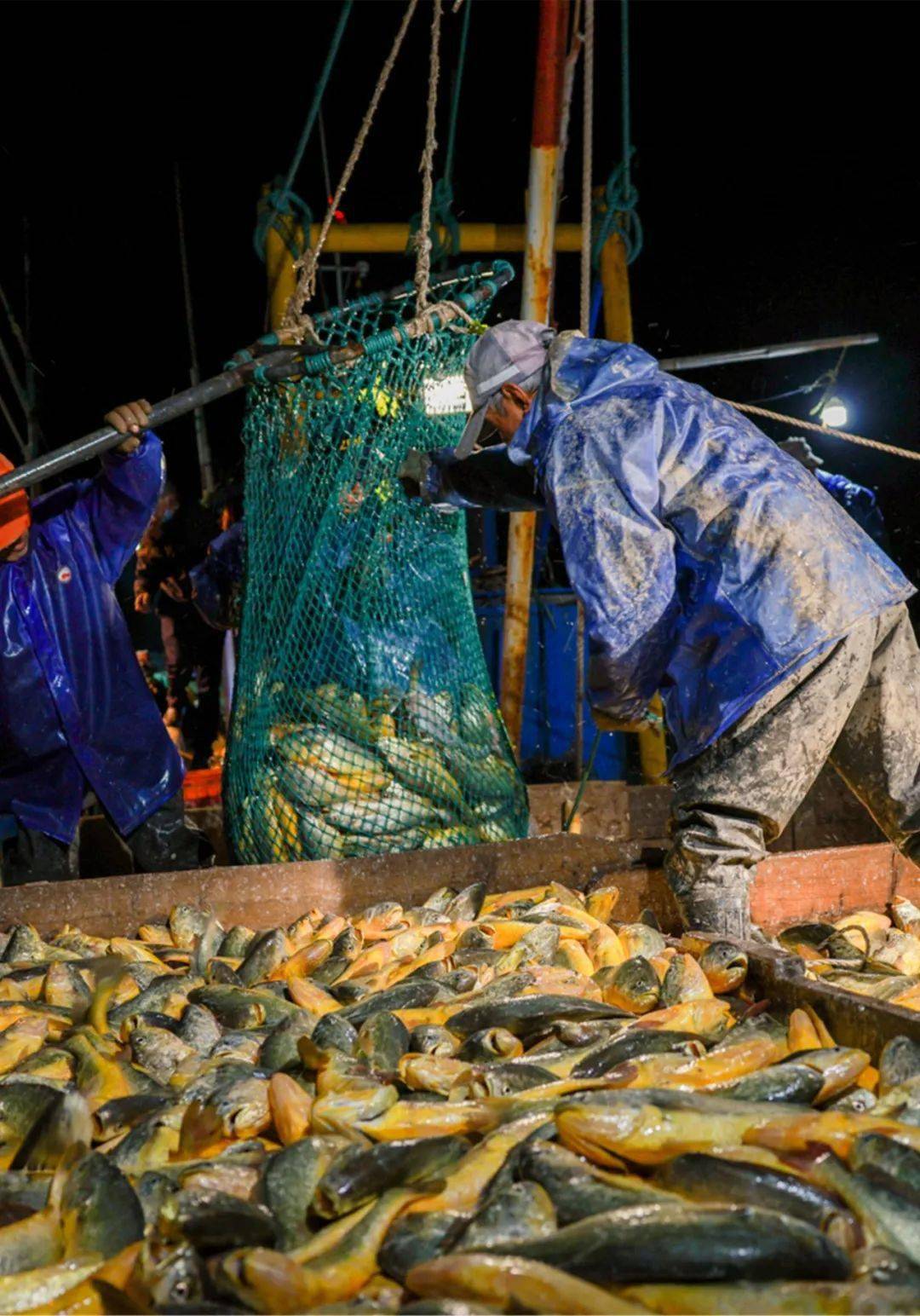 嵊泗_旅游_捕捞