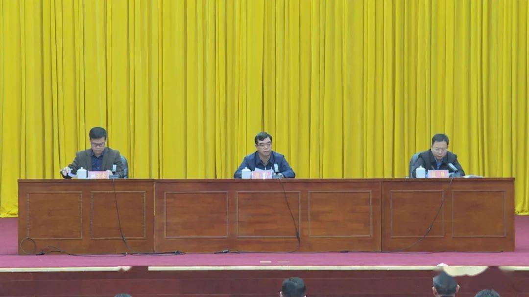 县领导余浩学,王丹华,欧红明,黄大友,张飞,唐石山,韦华,蒲星起参加