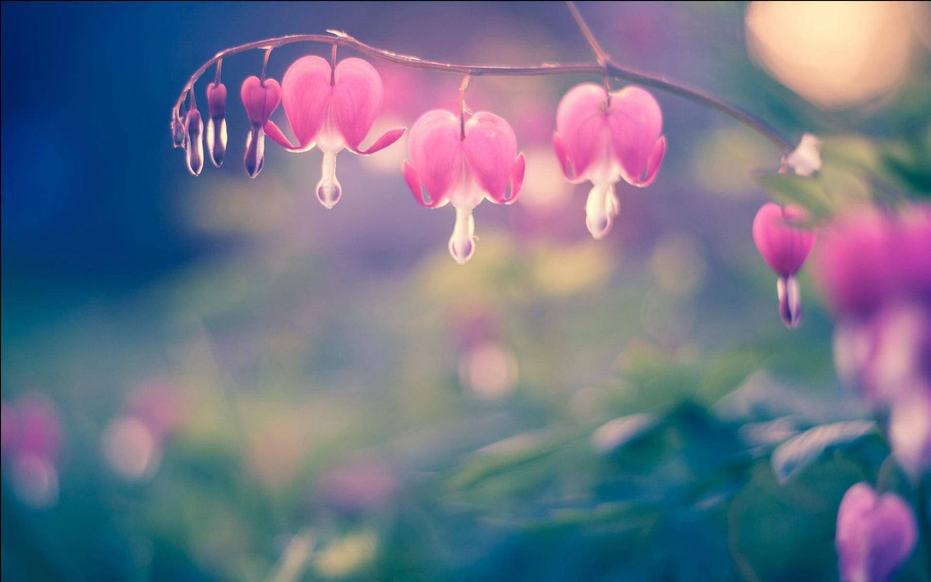 平常心的歌 618ff9638e02459b8230c742eafedf7c.jpeg