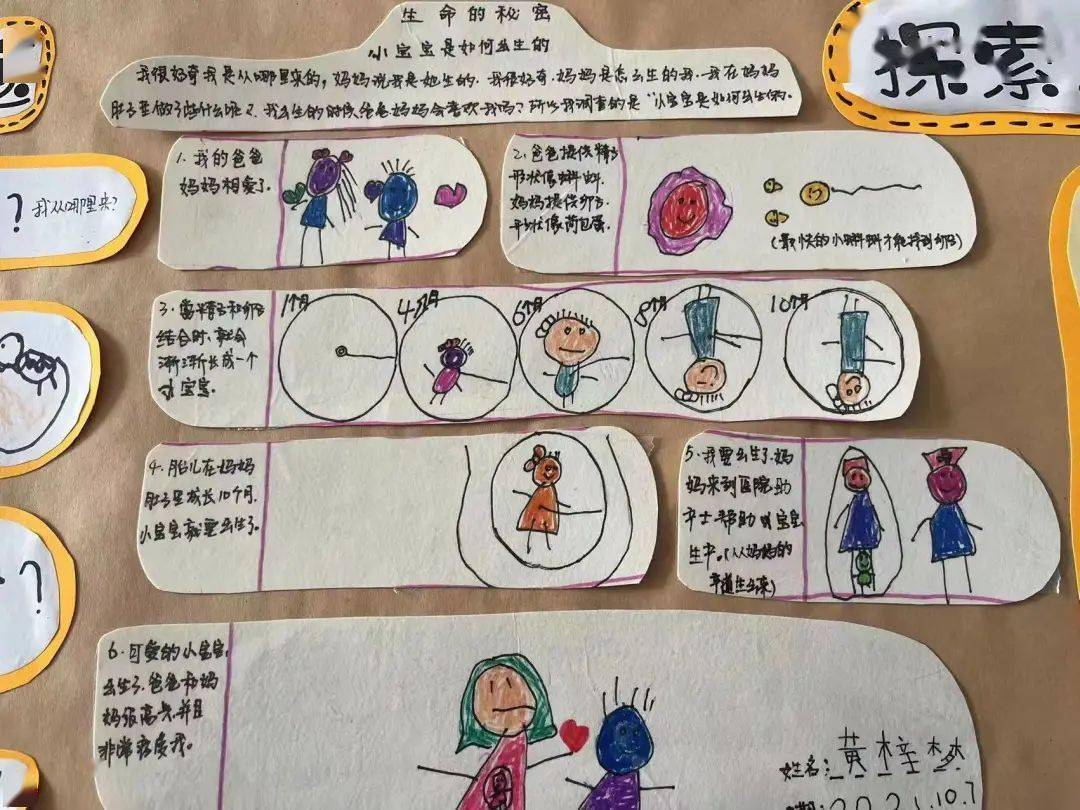 幼儿园生命主题网络图图片