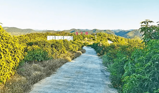 献礼百年华诞 | 围底镇:多彩围底 产业新城_建设_罗定市_发展