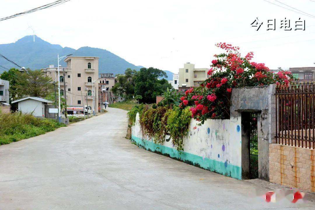 寻找电白最美党群服务中心之十六黄岭镇白石村党群服务中心让群众的