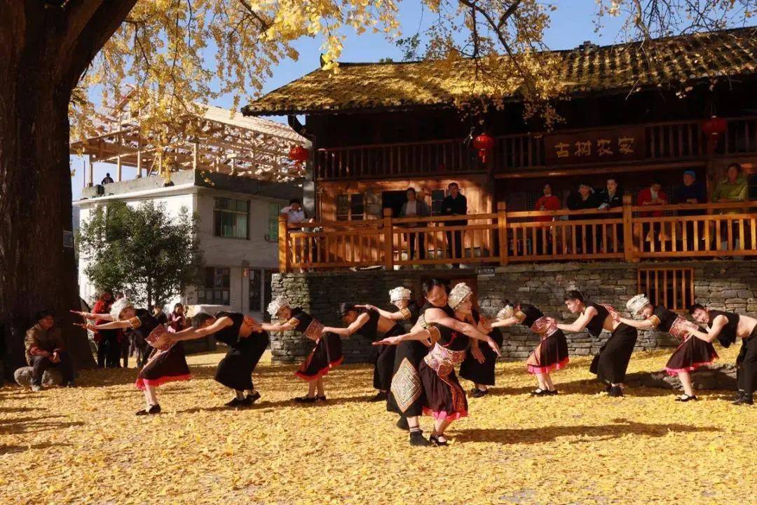 茶叶|一块块金字招牌的背后,竟是……