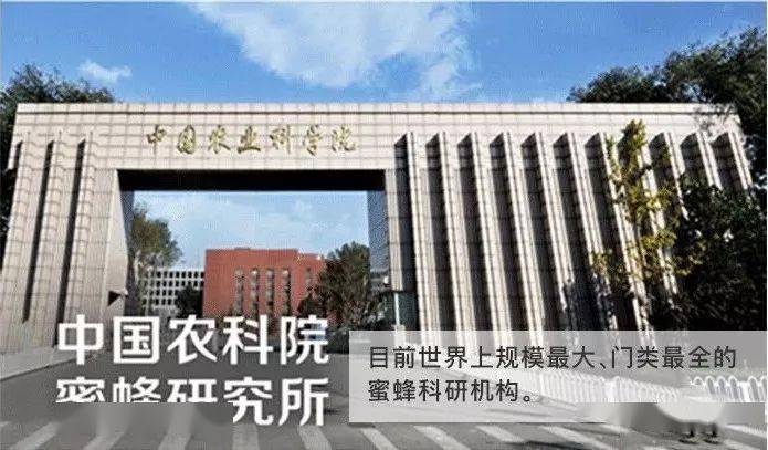 蜂胶你要在年末聚会上悄悄惊艳所有人！
