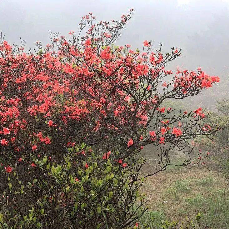 十八股头奇岩怪石好风光来体验大自然的鬼斧神工