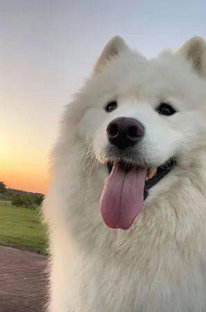 3b0756d7d6ad4478a0d788bc1f4456d5.jpeg