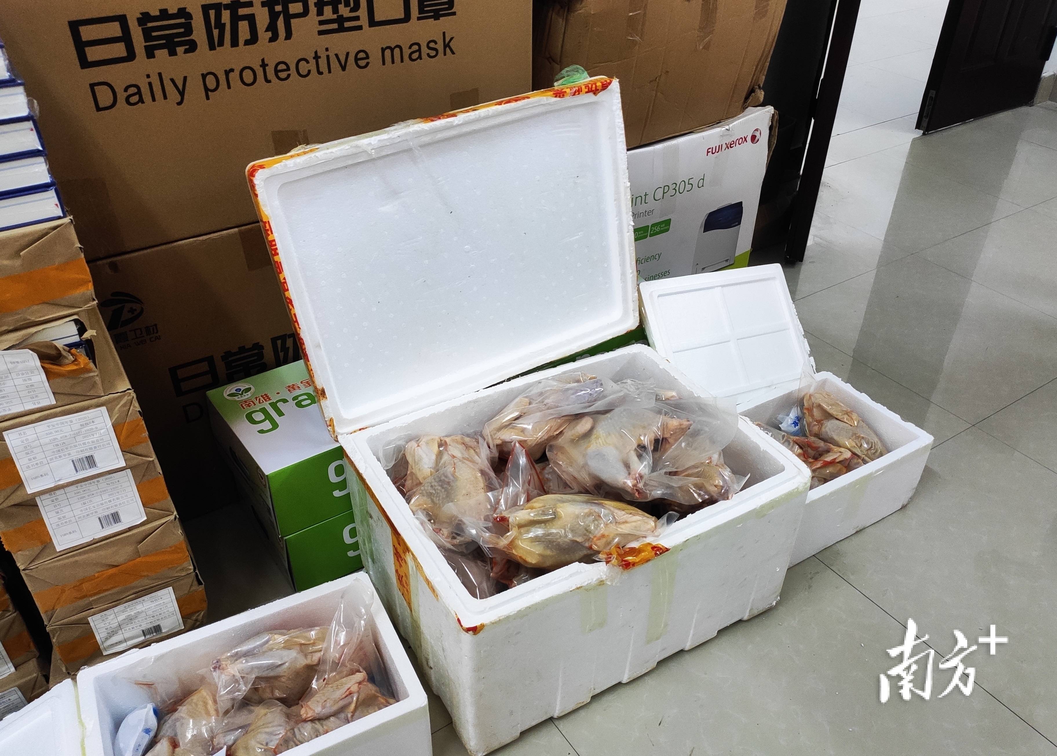 三黄胡须鸡苗 (中国 广东省 生产商) - 家禽 - 农产品及物资 产品 「自助贸易」