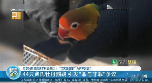 8f9a500d3e9148f5bcf40a4d88535202.jpeg