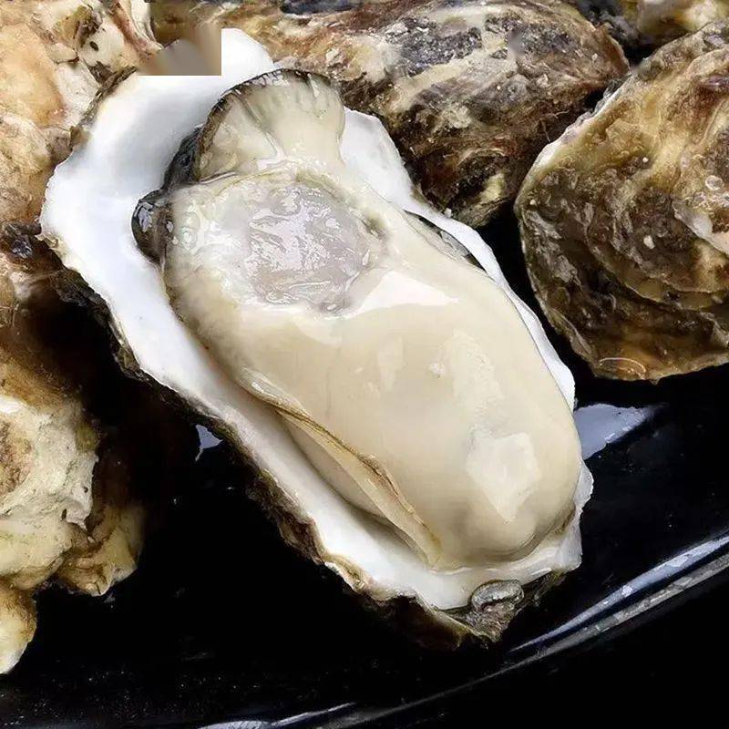 活动光鲜生乳山生蚝蚝门盛宴地道的乳山生蚝王