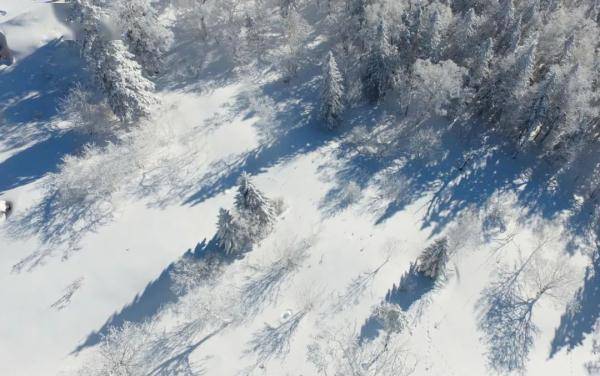 景区|“醉”美雪乡