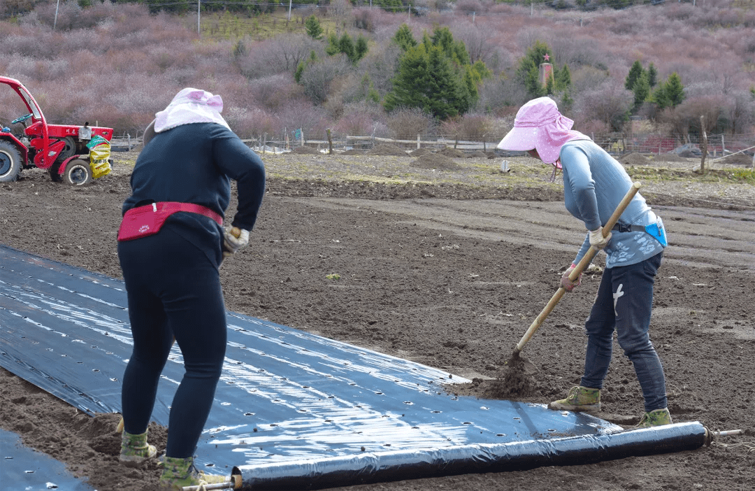 红原县|【点赞·这五年】筑幸福小康梦，阿坝州这样办……