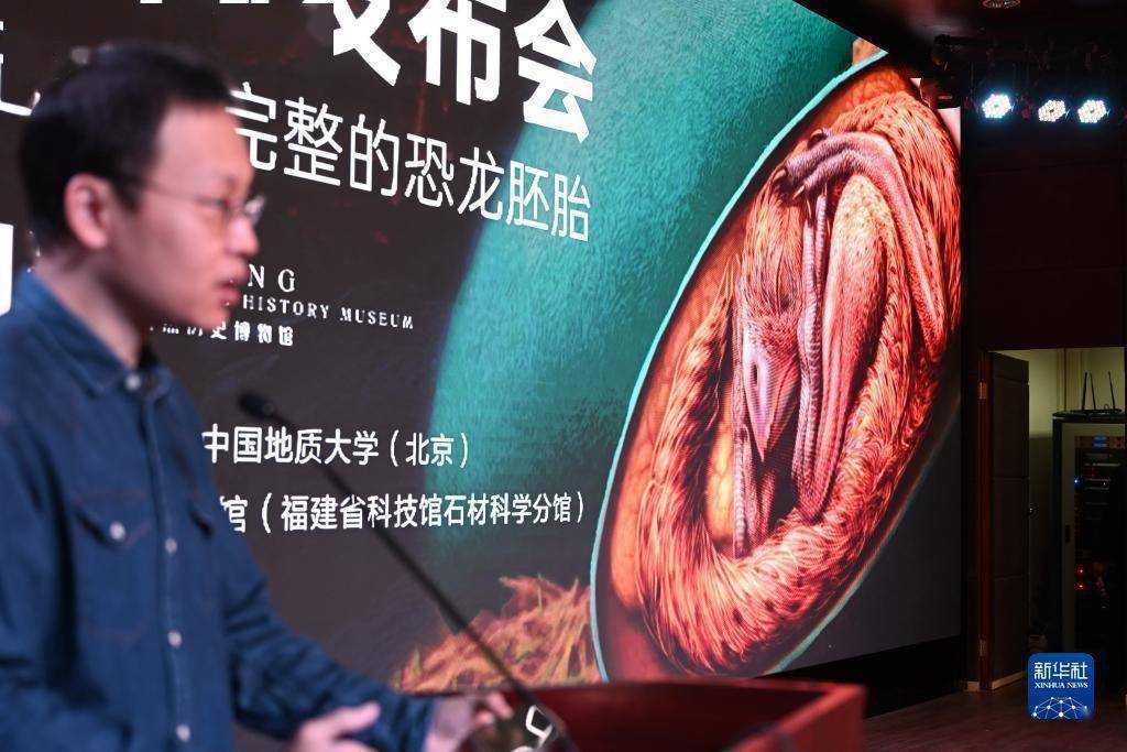 恐龙蛋|我国发现保存在恐龙蛋化石中的完美胚胎
