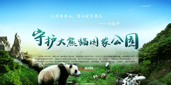 过亿阅读人民日报海外推上油管和推特这组讲述成都大熊猫保护的报道有