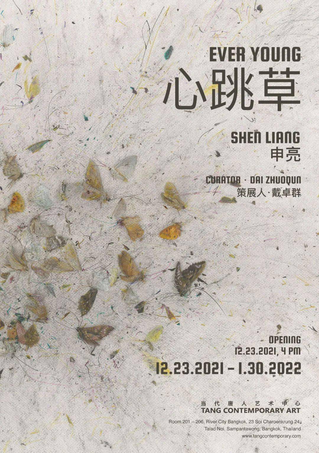 唐人曼谷｜申亮个展“心跳草”12月23日开幕_绘画_纸本_cm