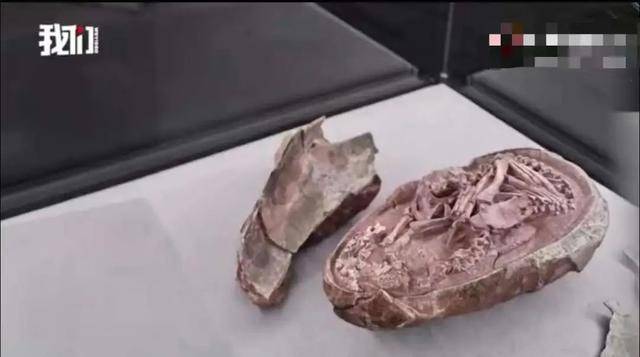 化石の街 龍膽寺雄 新潮社 満点の 新潮社