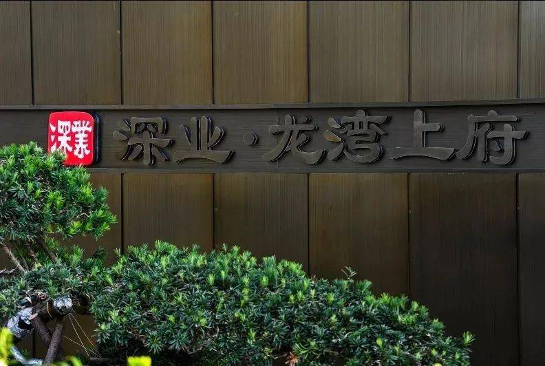 机会就1次深业龙湾上府288套房销许已领今年最后一波王炸