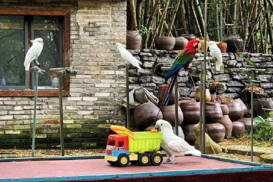 万龟谷喂龟☆青瓦房中的世界名龟园是集科研养殖,科研,科普旅游观光